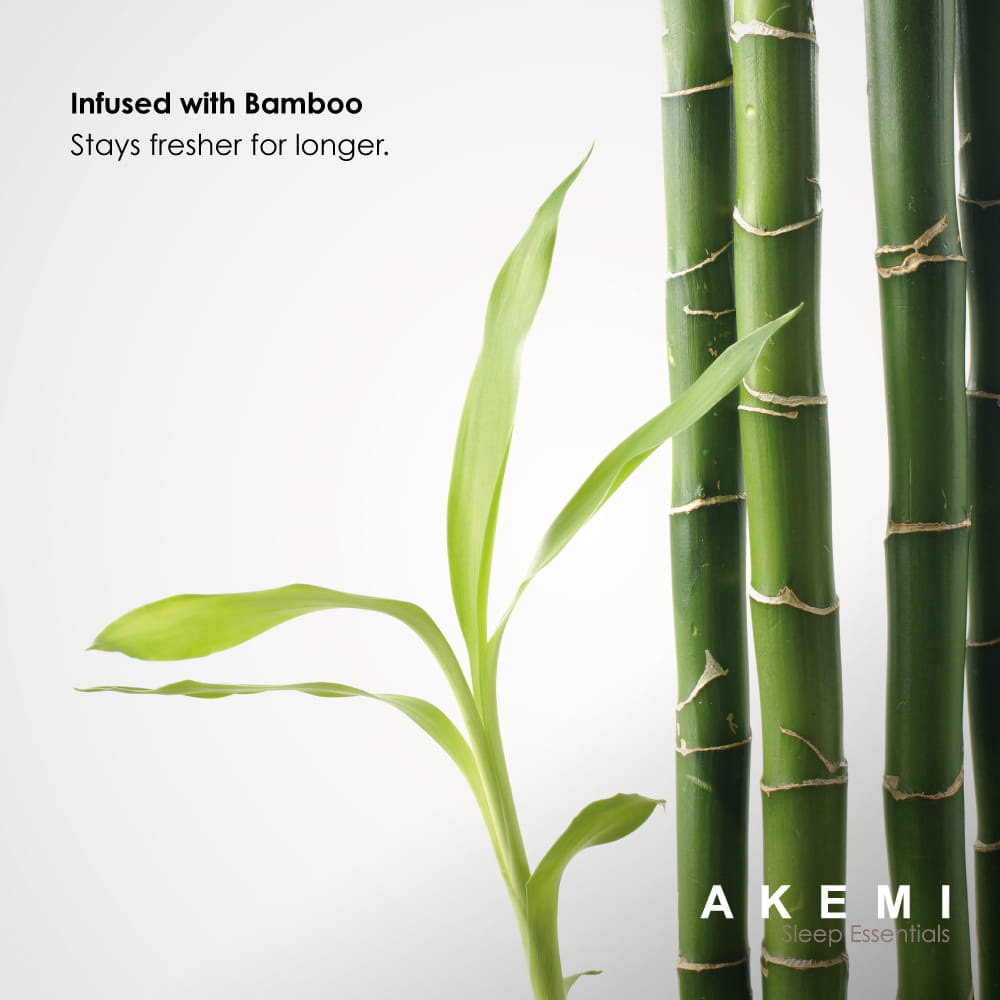 หมอนสุขภาพ เมมโมรี่โฟม AKEMI รุ่น SLEEP ESSENTIALS CHARCOALED BAMBOO VISCO ELASTIC 9557108112674 60CM X 36CM + 12/9CM สีดำ